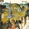 Download track 13. Bach- Geist Und Seele Wird Verwirret, BWV 35- V. Sinfonia