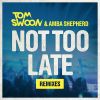 Download track Not Too Late (Sebjak Remix)