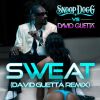 Download track Wet (David Guetta Extended Remix)