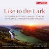 Download track The Lark Ascending (Arr. P. Drayton For Violin & Chamber Choir)
