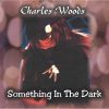 Download track Something In The Dark