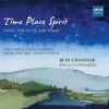Download track Pieces For Flute And Piano: IV. In Den Bergen Aserbaidschans
