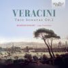 Download track Trio Sonata No. 3 In G Major, Op. 1 III. Adagio E Staccato