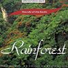 Download track Rainforest - Stillness