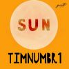 Download track Sun Down