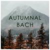 Download track Partita No. 3 In A Minor, BWV 827: 7. Gigue