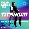 Download track Titanium (David Guetta & MORTEN Future Rave Extended Mix)