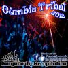 Download track Danza Kuduro (Tribal Mix Dj Anghemo)
