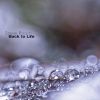 Download track Back To Life