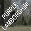 Download track Purple Lamborghini - Tribute To Skrillex And Rick Ross (Instrumental Version)