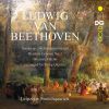 Download track Overture Leonore No. 3 Op. 72 B (Arr. For String Quintet)