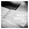 Download track What Could I Do