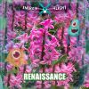 Download track Renaissance (Extended Mix)