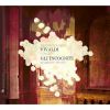 Download track 13 - Concerto For Traverso In A Minor, RV 440; I. Allegro Non Molto