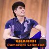 Download track Gharibi