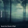 Download track Spooky Forest Sounds At Night, Pt. 10