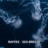 Download track Sea Breeze