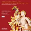 Download track 3. Weihnachtsoratorium BWV 248- Rezitativ- Nun Wird Mein Liebster Bräutigam