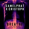 Download track Breathe (CamelPhat Just Chill Mix)
