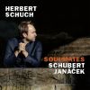 Download track Schubert: 6 Moments Musicaux, Op. 94, D. 780 - No. 6, Allegretto