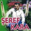 Download track Yetim Kuzim (Uzun Hava)