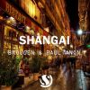 Download track Shangai (Original Mix)