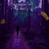 Download track Dark Forest Part Two (The Escape) (Vocal Remix)