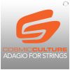 Download track Adagio For Strings (Extended Mix)