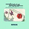 Download track Birds - Live