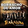 Download track Borracho De Amor
