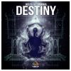 Download track Destiny (Radio Edit)