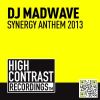 Download track Synergy Anthem 2013 (Original Mix)