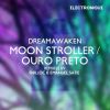 Download track Moon Stroller (Emanuel Satie Rework)