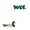 Download track DUCK