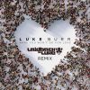 Download track What You Won't Do For Love (Laidback Luke Remix)