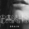 Download track Brain