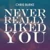 Download track Never Really Liked You