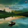 Download track More Dreams (Anton Ishutin Extended Remix)