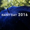 Download track The Rain Returns