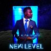 Download track New Level