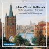 Download track Violin Concertino No. 5 In A Minor, Op. 133 – II. Adagio