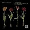 Download track 08. Quartet In F Major, Op. 37 II. Andantino - Quartetto Bernardini