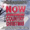 Download track Christmas In Dixie