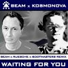 Download track Waiting For You (Beam X Ruesche X Bootmasters Remix)