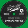 Download track Sparkling Attitude (Radio Edit)
