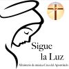 Download track Sigue La Luz