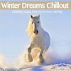 Download track Elements Of Joy - Winter Del Mar Mix