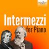 Download track 7 Fantasien, Op. 116: IV. Intermezzo In E Major. Adagio