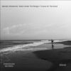 Download track Traces On The Sand (Original Mix)