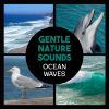 Download track Tranquil Sound Of Sea For Spa